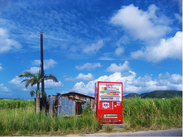 自動販売機,訪日外国人,