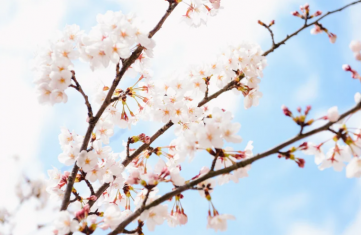 双子のような単語　StartとBegin【イングリッシュビレッジ】