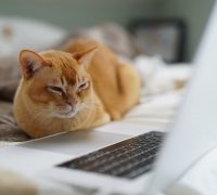 今だからこそ。映画のご紹介【横浜校】