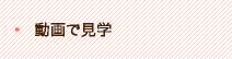 動画で見学